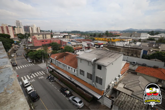 Bushido Formação Estrutura 9